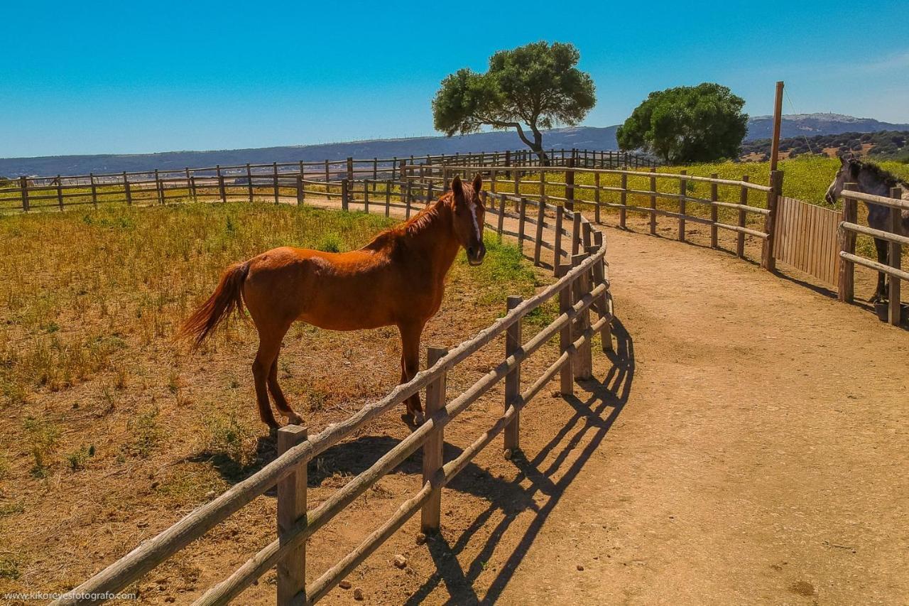 Cortijo El Indiviso Guest House เวเฮร์ เด ลา ฟรอนเตรา ภายนอก รูปภาพ